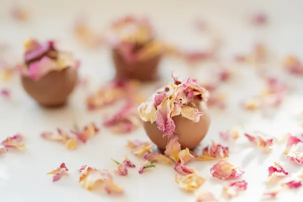 Andromeda Casino Android/iOS aplikacija